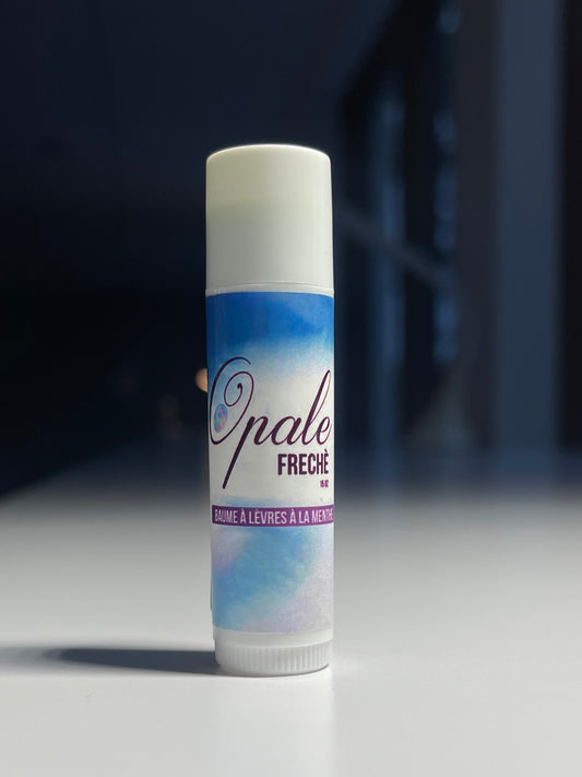 Baume à lèvres à la Menthe – Fraîcheur & Protection
